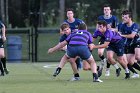 Men's Rugby vs Stonehill  Wheaton Men's Rugby vs Stonehill College. - Photo by Keith Nordstrom : Wheaton, Rugby, Stonehill